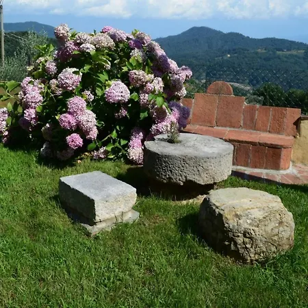 La Calona Διαμέρισμα Camaiore