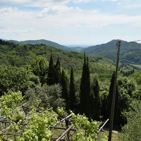 La Calona Camaiore
