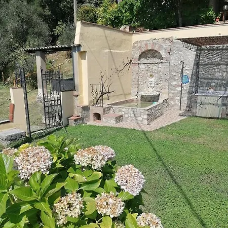 La Calona * Camaiore
