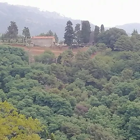 Apartment La Calona Camaiore